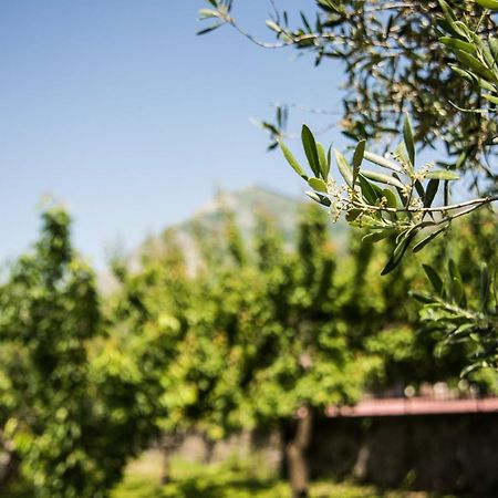 Casa Vacanza Dal Cavaliere Montesarchio Exteriér fotografie