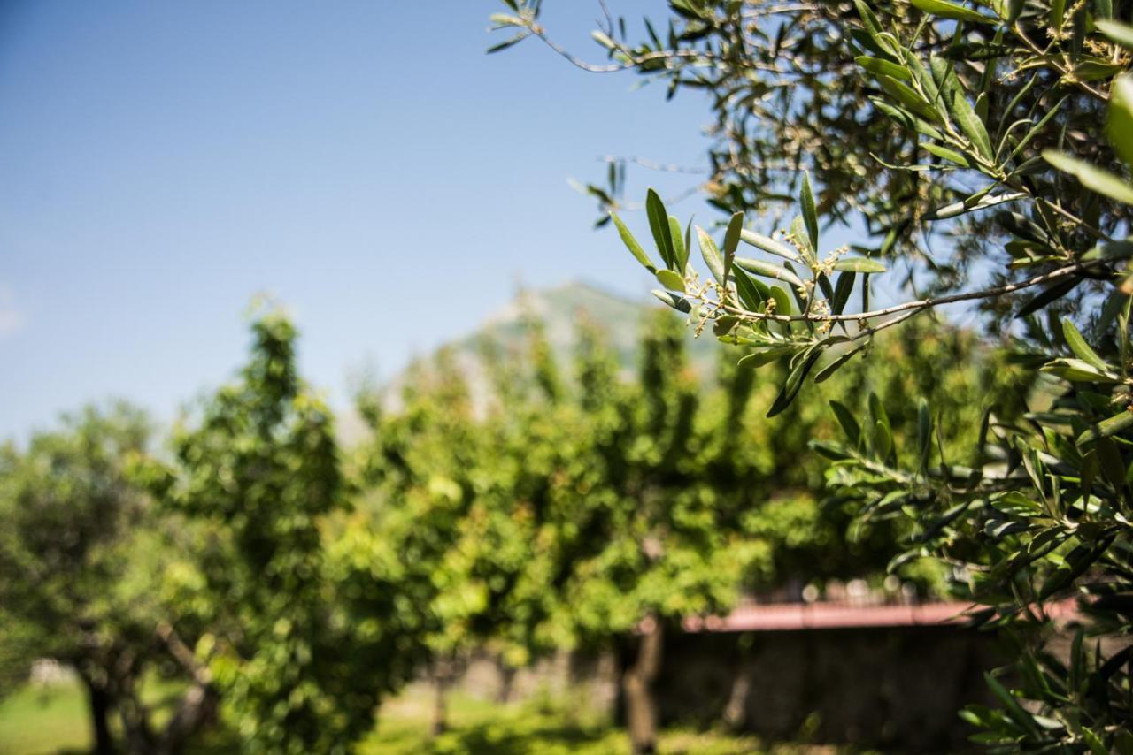 Casa Vacanza Dal Cavaliere Montesarchio Exteriér fotografie