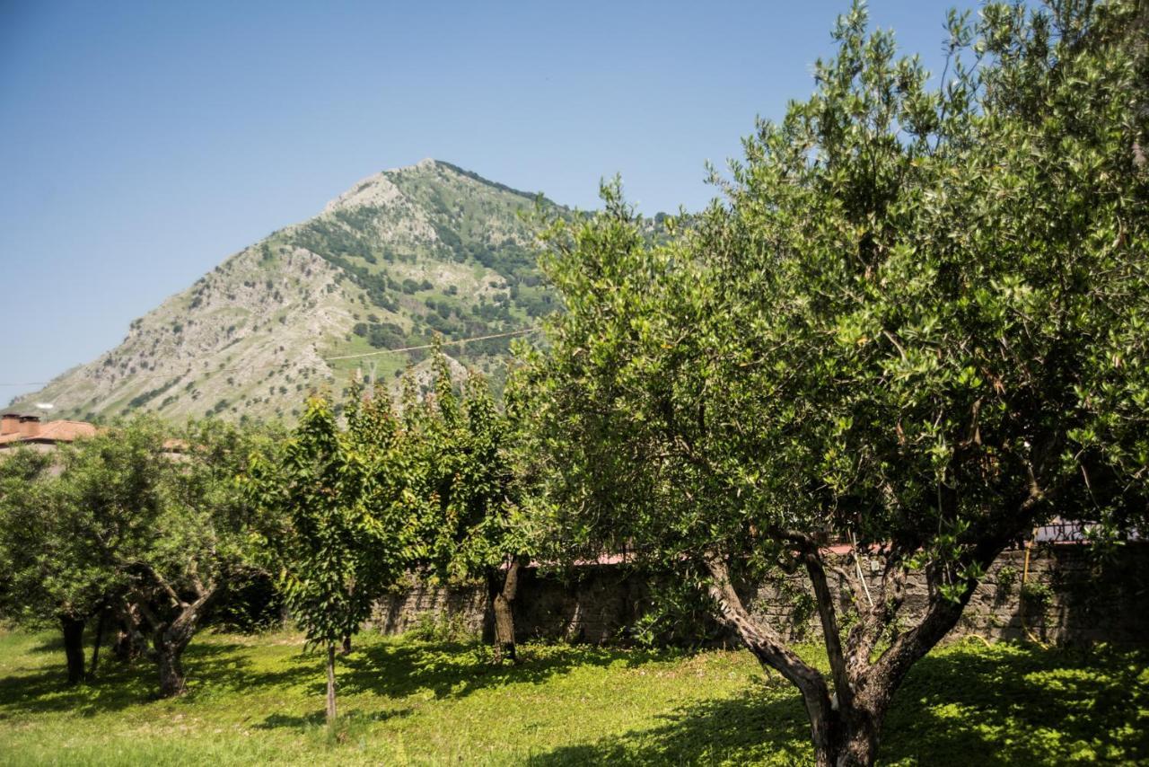 Casa Vacanza Dal Cavaliere Montesarchio Exteriér fotografie