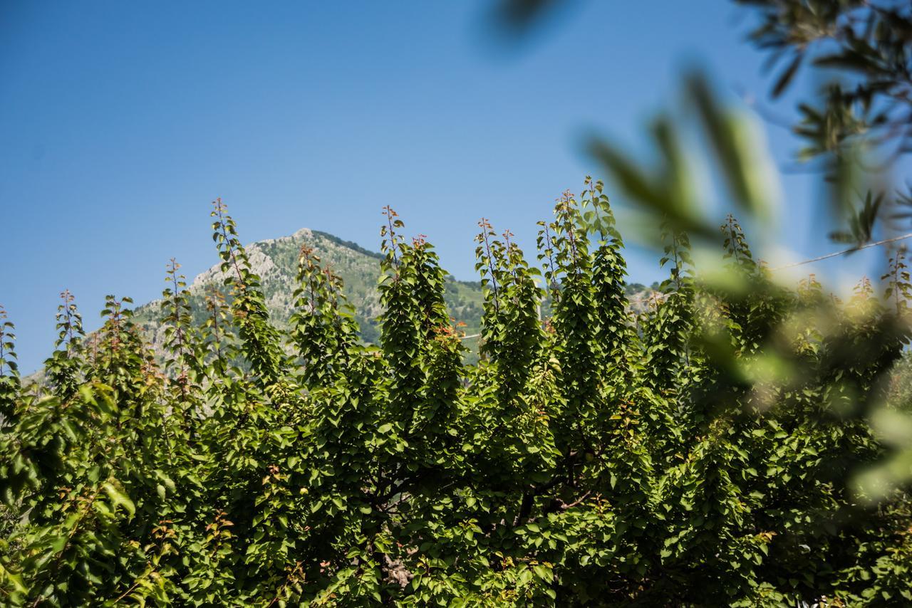 Casa Vacanza Dal Cavaliere Montesarchio Exteriér fotografie